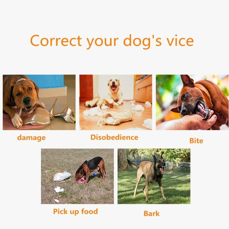 Dog Mx Inflatable Ecollar Size Chart