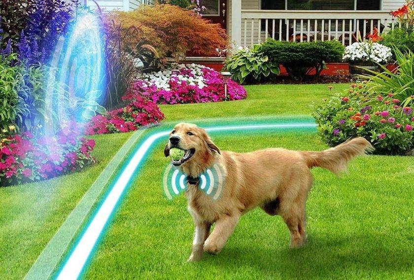 BuddyGate Invisible Dog Fence Electric Wireless Dog Fence with Collars Pawfect Way