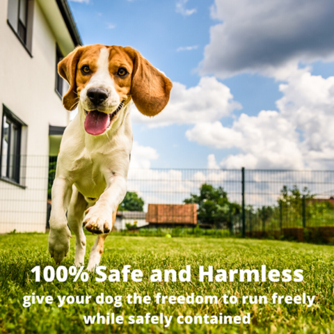 Freedom fence for dogs best sale