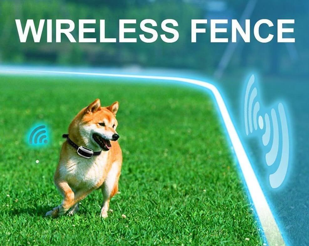 BuddyGate Invisible Dog Fence, Electric Wireless Dog Fence with Collars -  Pawfect Way