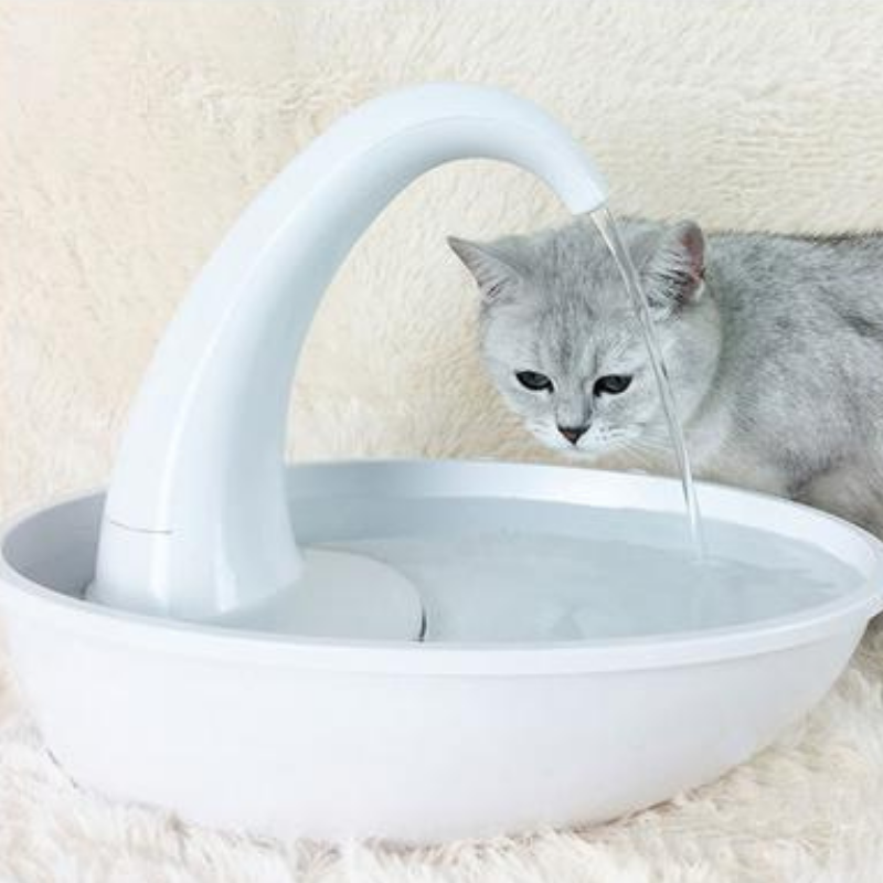 Felaqua Connect Cat Water Fountain Review: Tracks Cat's Drinking