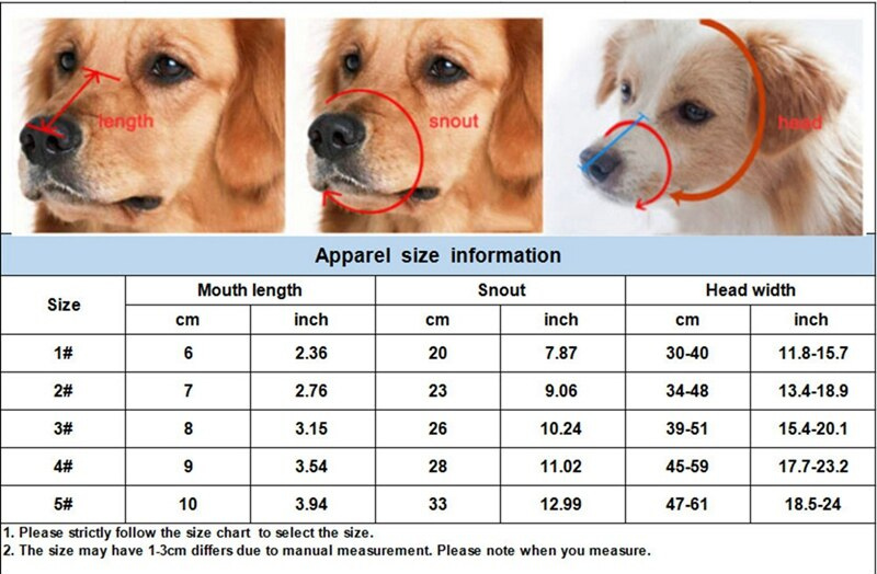 how big is a doberman mouth