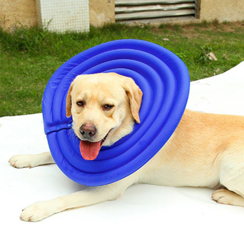 Dog protective clearance collar