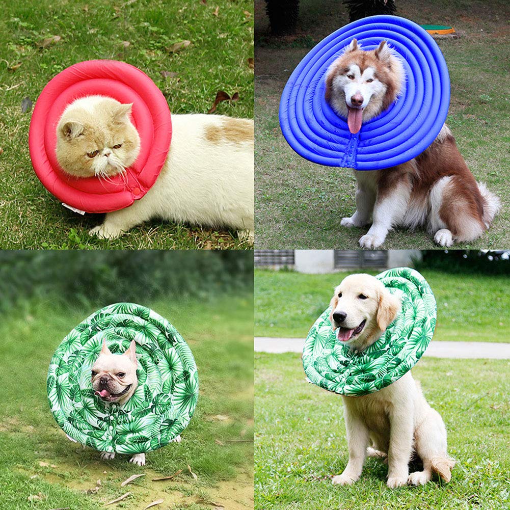 Best cone collar for 2024 dogs