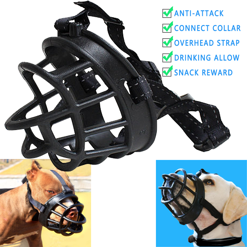 Dog mouth hotsell guard price