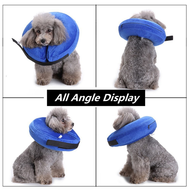 Protective inflatable pet on sale collar