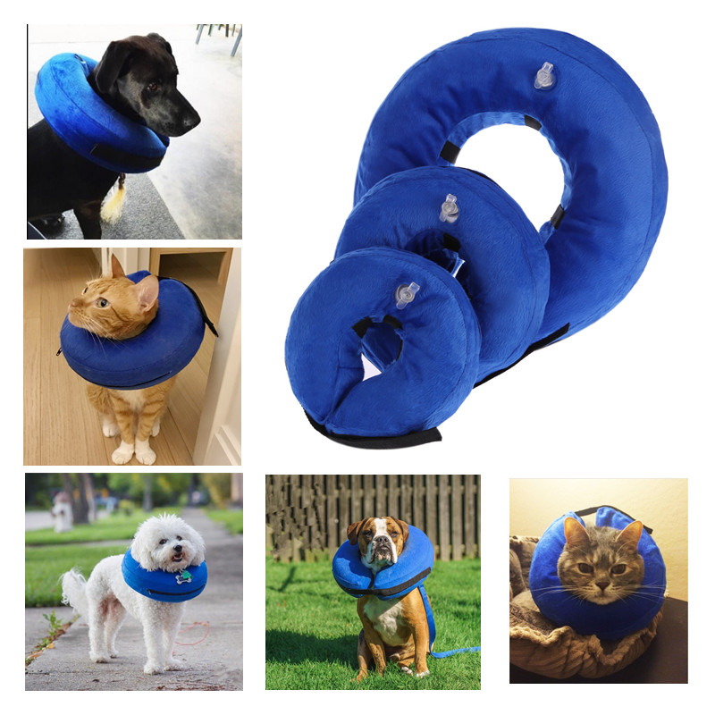 Blow up neck collar for outlet dogs