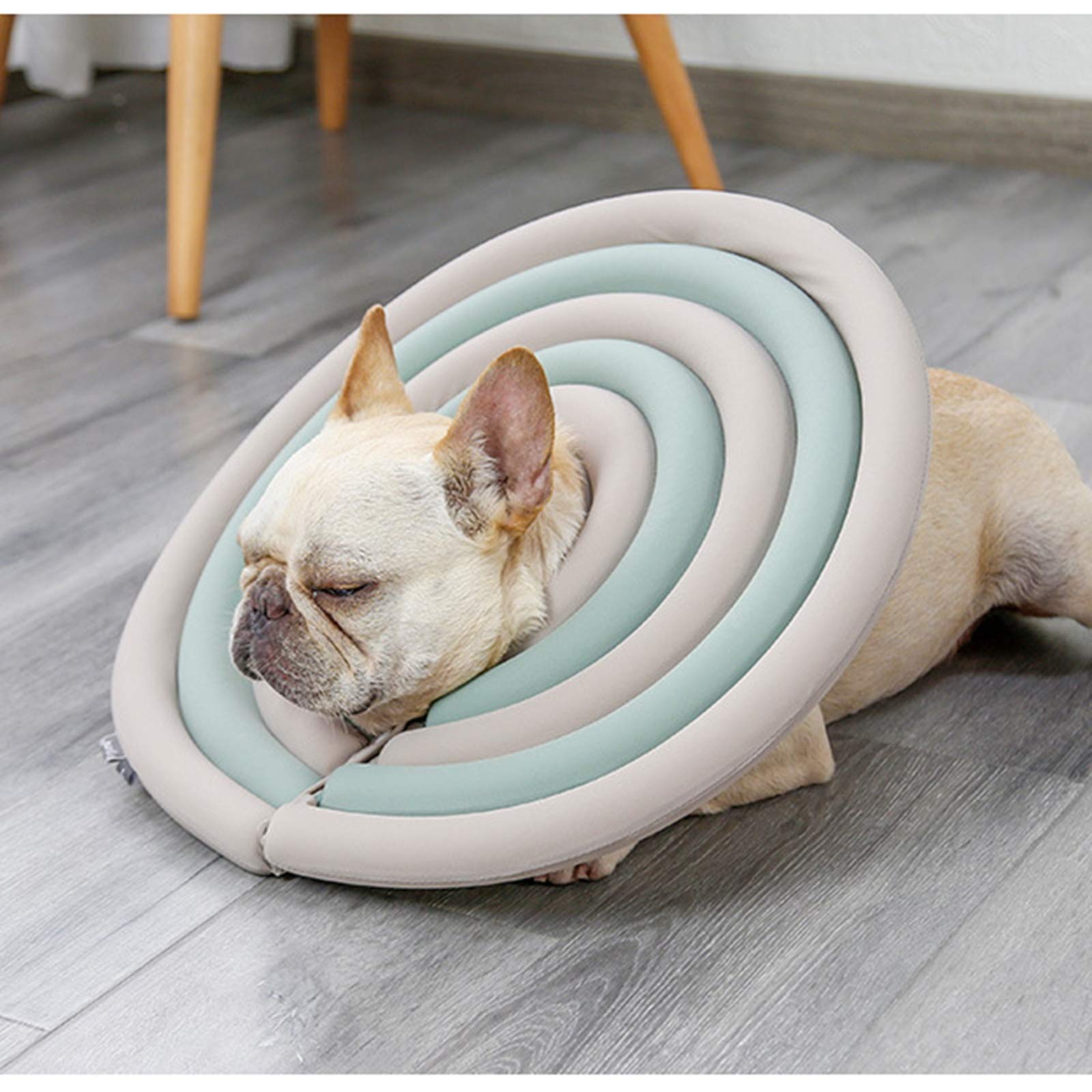 how to make dog comfortable with cone