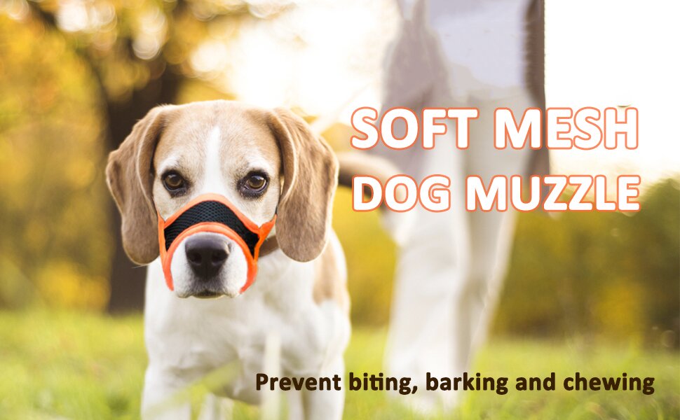 Dog muzzle 2024 to prevent biting