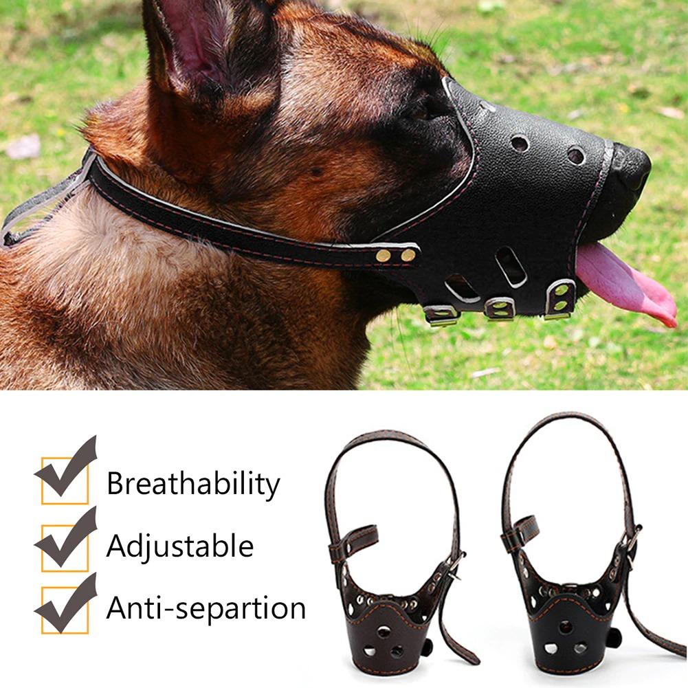 Dog's mouth guard hotsell