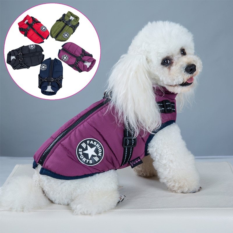 Waterproof insulated dog coat sale