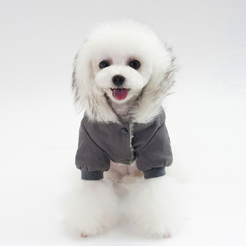 Cheap dog jackets for on sale winter