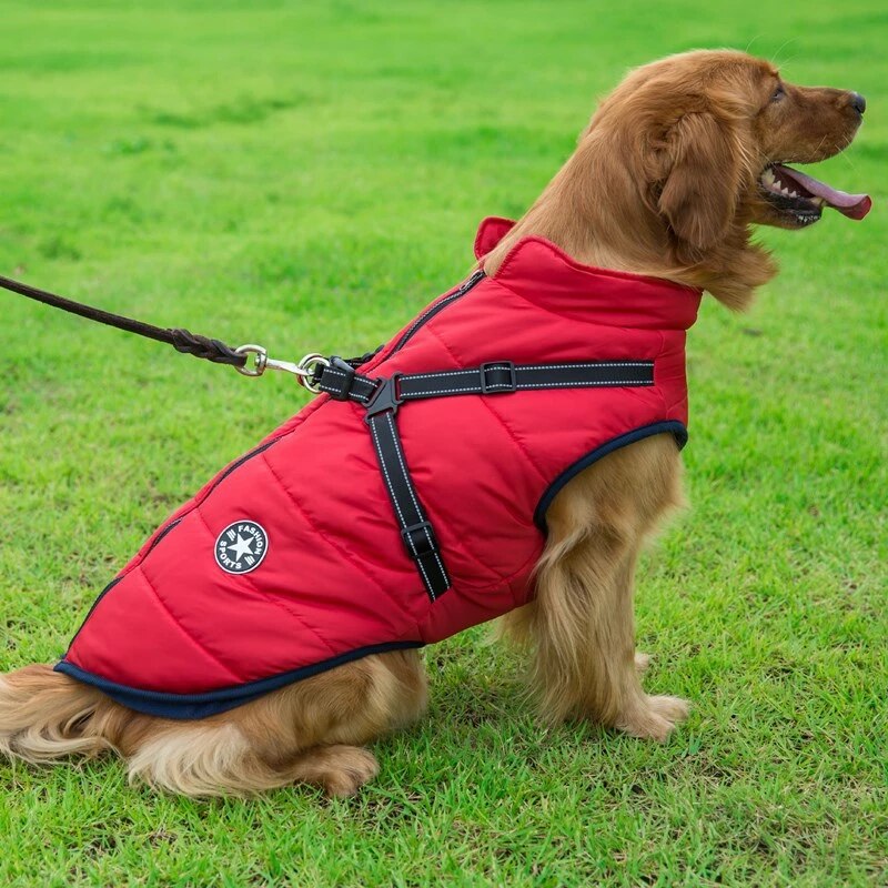 coat with harness for dogs