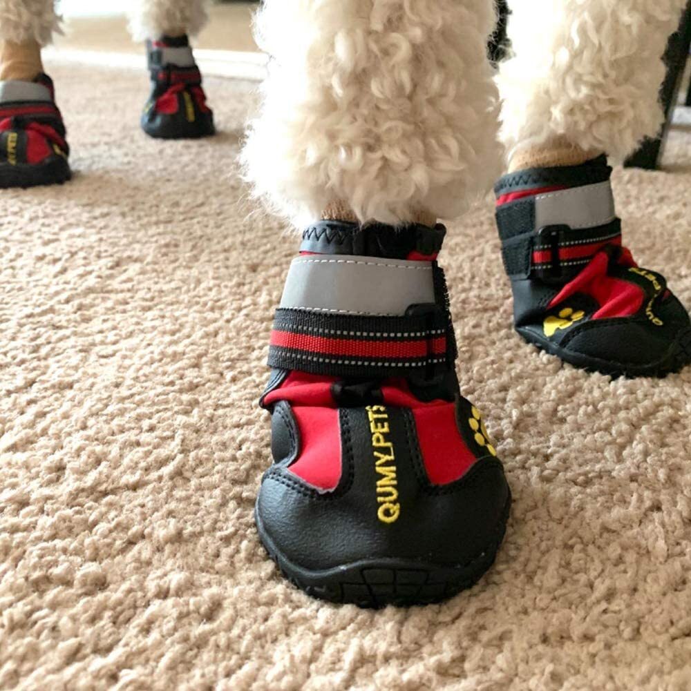 Pompreece on sale dog boots