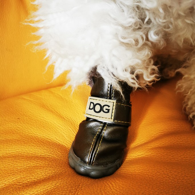 Ugg on sale dog booties