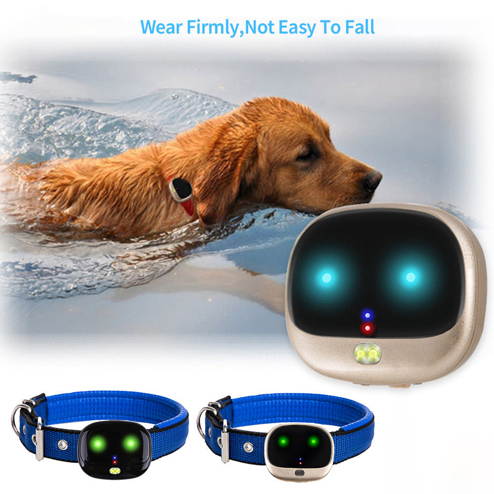 ZOOMBAK 100 PET ADVANCED GPS LOCATOR KEEP TRACK OF YOUR DOG PROTECTION  SYSTEM