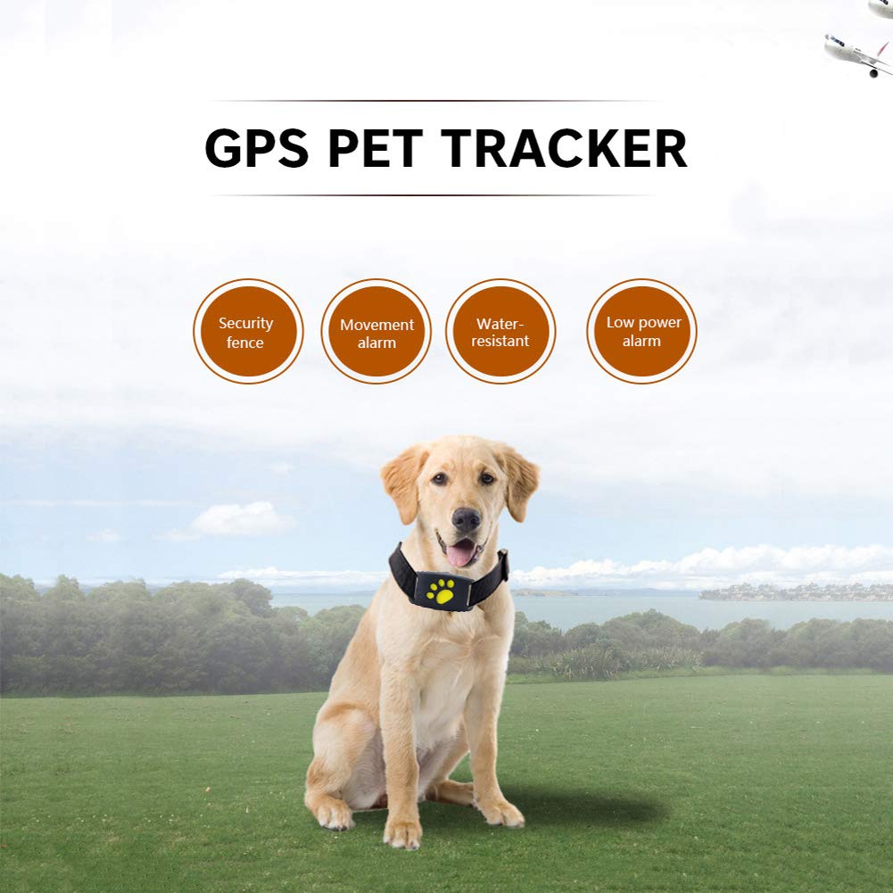 Find my pet nano gps dog tracker best sale