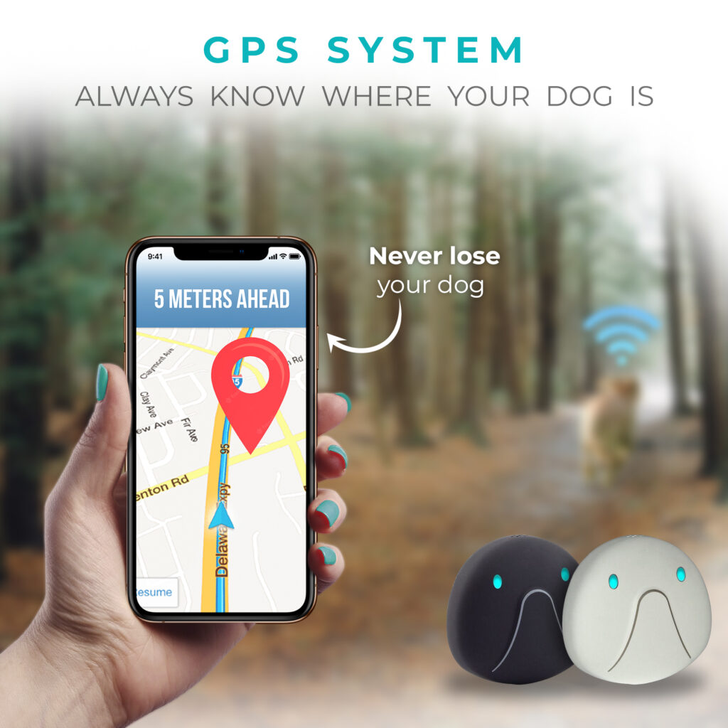 Dog hotsell gps system