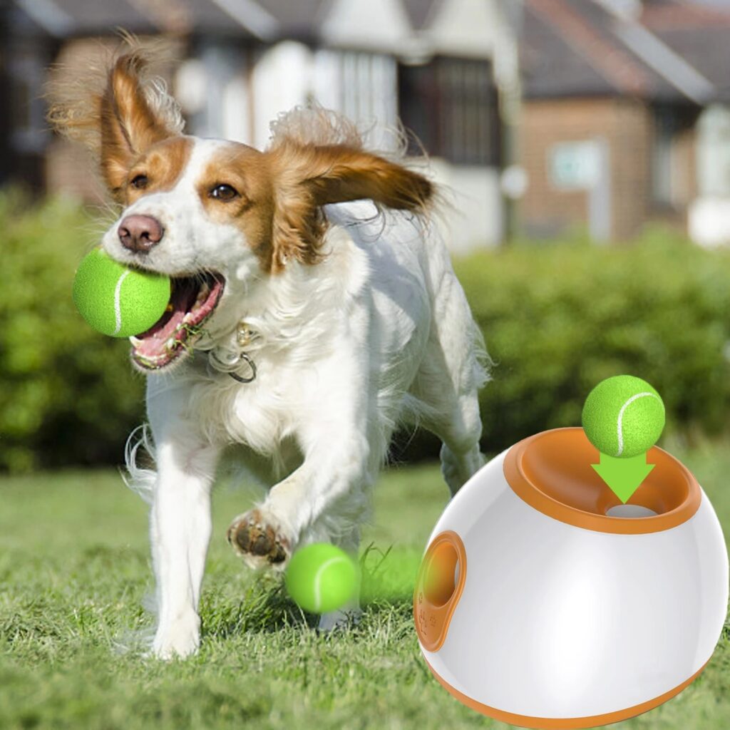 Dog playing shop with ball launcher