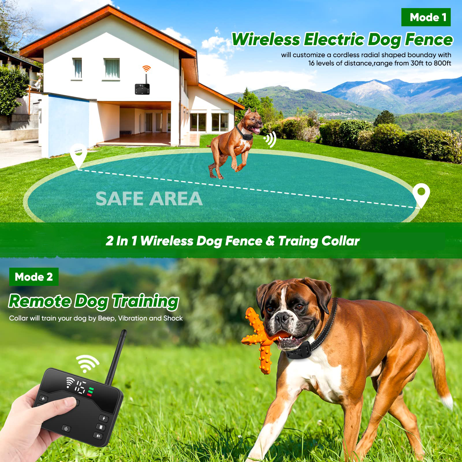 Electric dog collars to store keep them in the yard