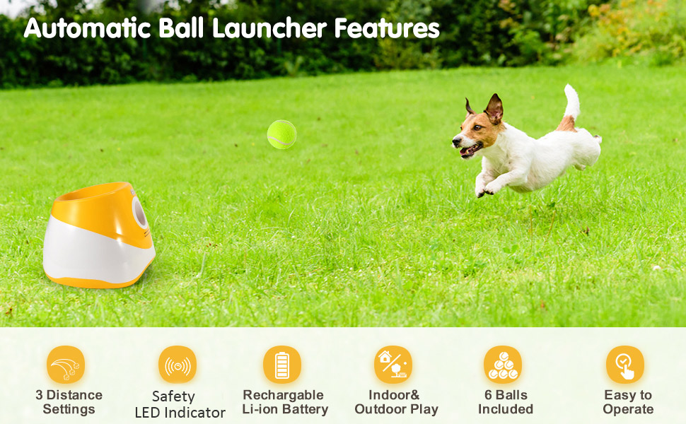 Automatic pet 2024 ball launcher