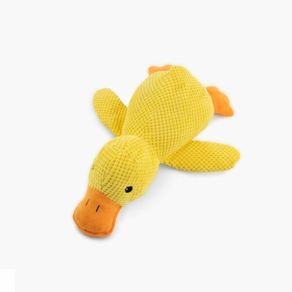 PawPal Calm Duck Pawfect Way - Main Image