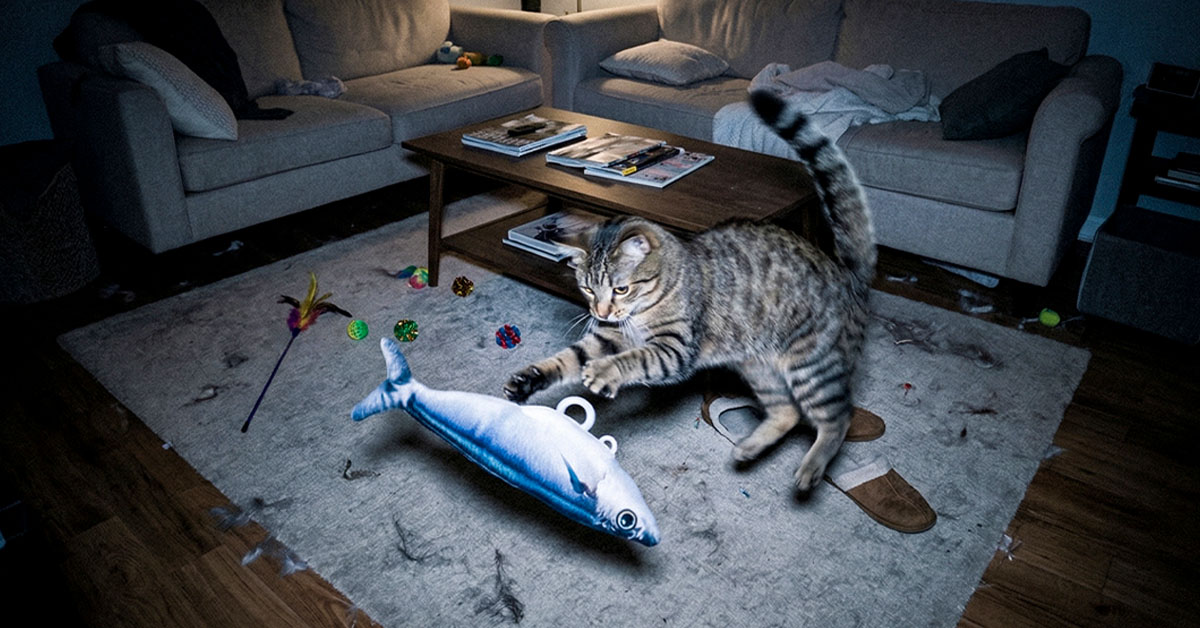 Floppy Fish Keeps Cats Active While You're Away