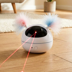 Laser Pounce
