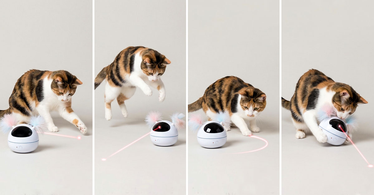 Laser Pounce Delivers Endless Exercise and Fun