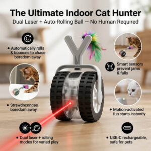 LaserRoam
