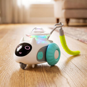CatRover