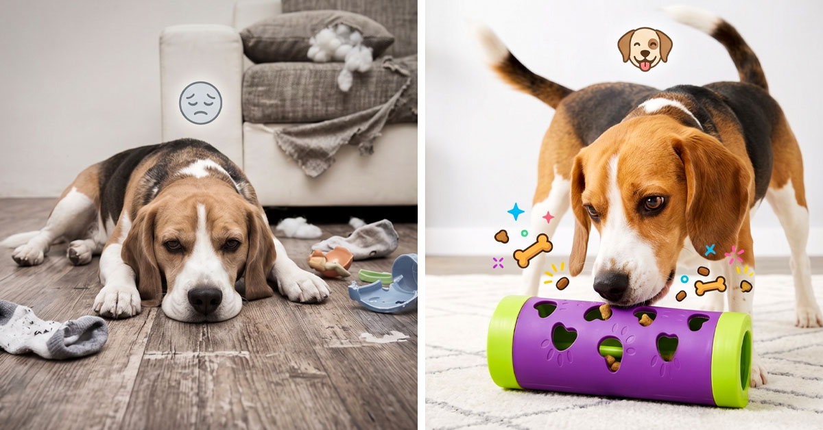 Stimulates Your Pet's Mind During Play