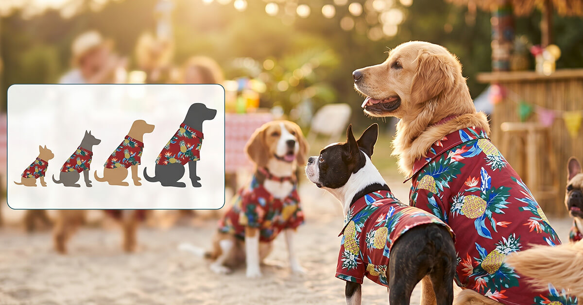 Perfect for Parties, Events, and Casual Adventures