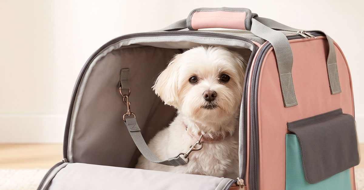 Built-In Safety Straps Prevent Escape Attempts