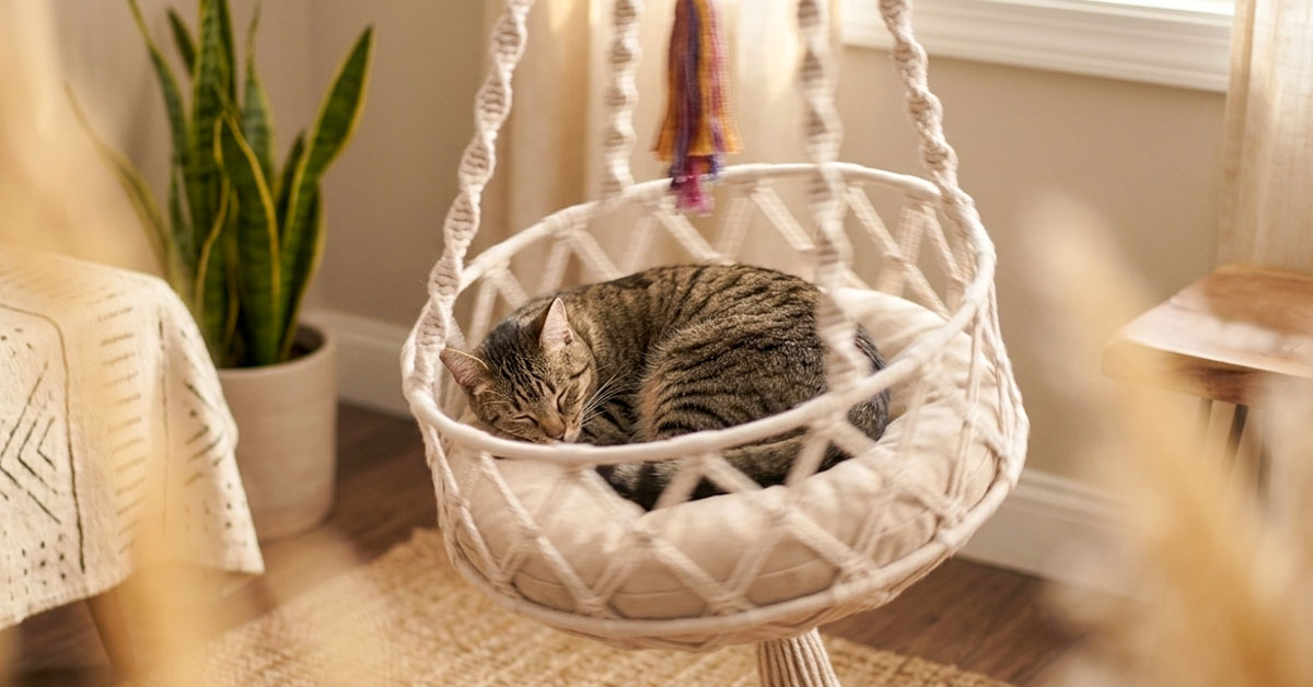 Elevated Swing Gives Cats A Calming Floating Retreat