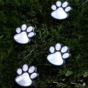 Pawprint Trail