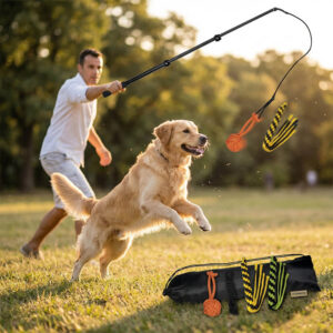 ChaseMaster
