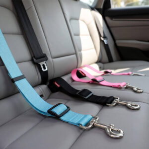 SafePaws