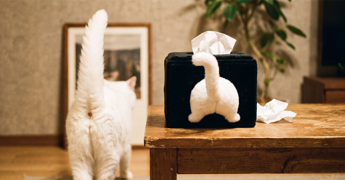 Features Adorable 3D Plush White Cat Butt