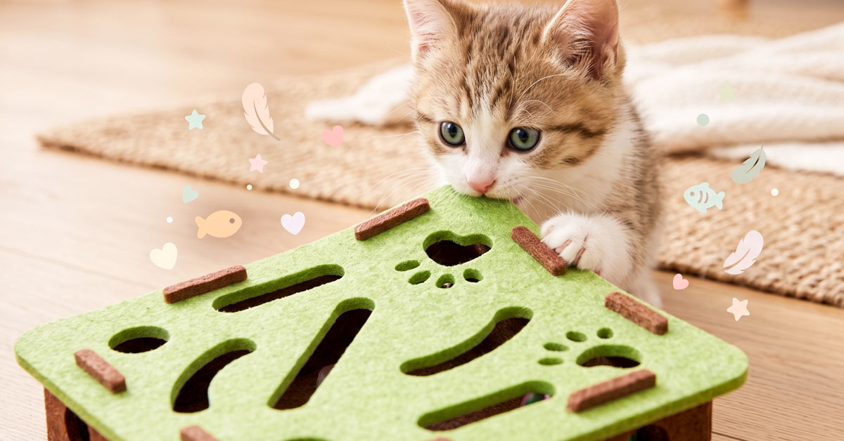 Pet-Safe Materials Protect Paws And Teeth Always