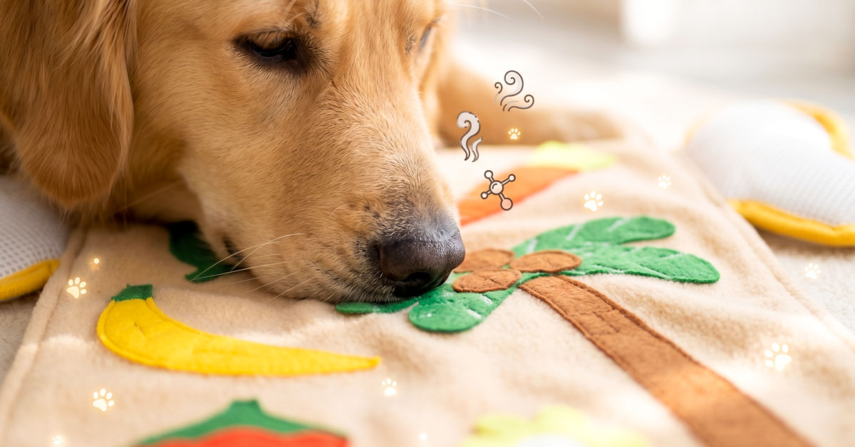 Soft Fleece Fabric — Gentle on Noses
