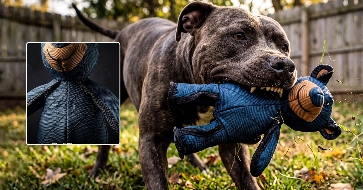 Outlasts Regular Plush Toys for Heavy Chewers
