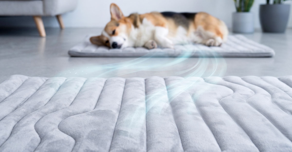 Soft Velutinous Surface Comforts Cats and Dogs