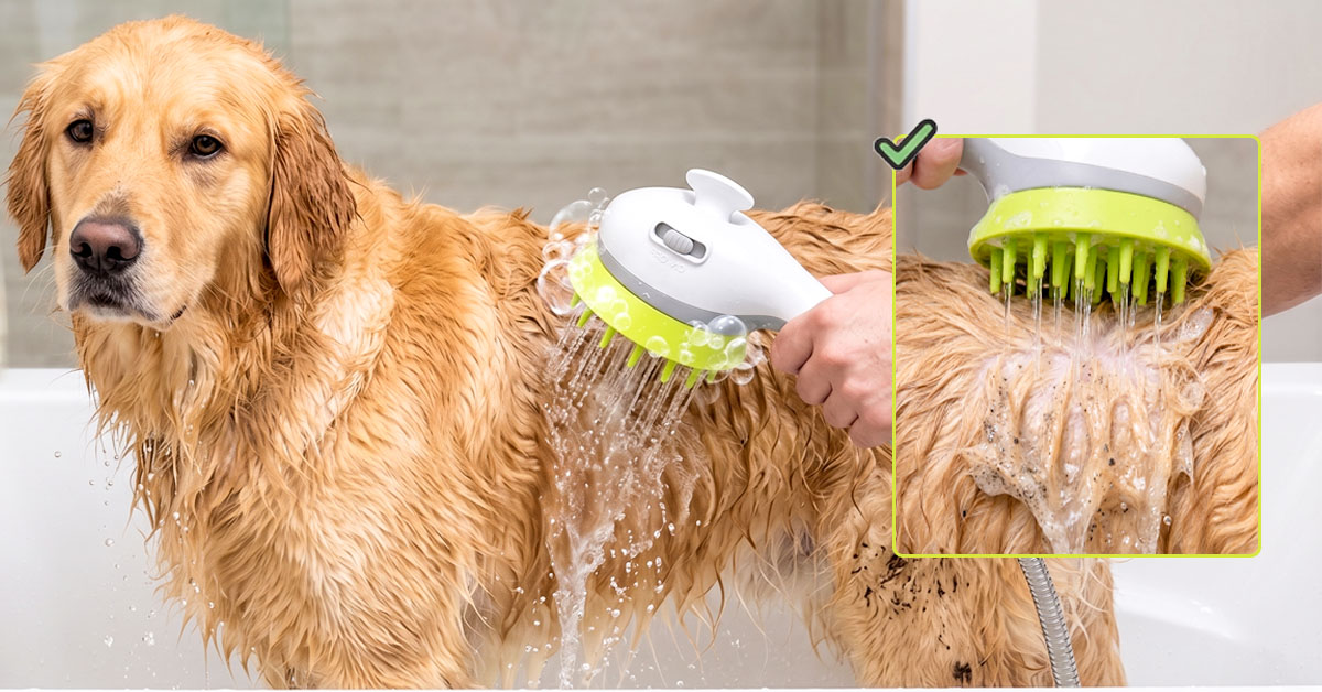 Massages and Cleans Fur Simultaneously for Deep Grooming