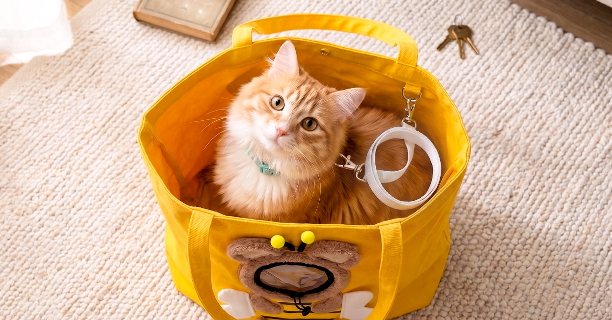 Built-In Leash Hook Prevents Escapes