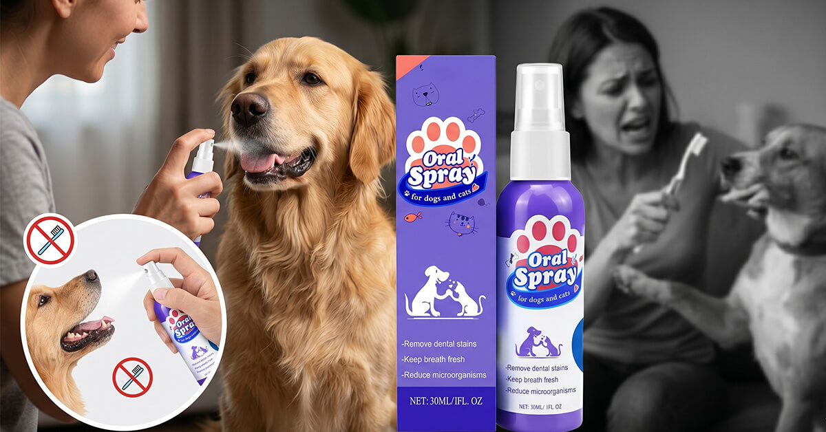 Stress-Free Alternative To Traditional Pet Brushing