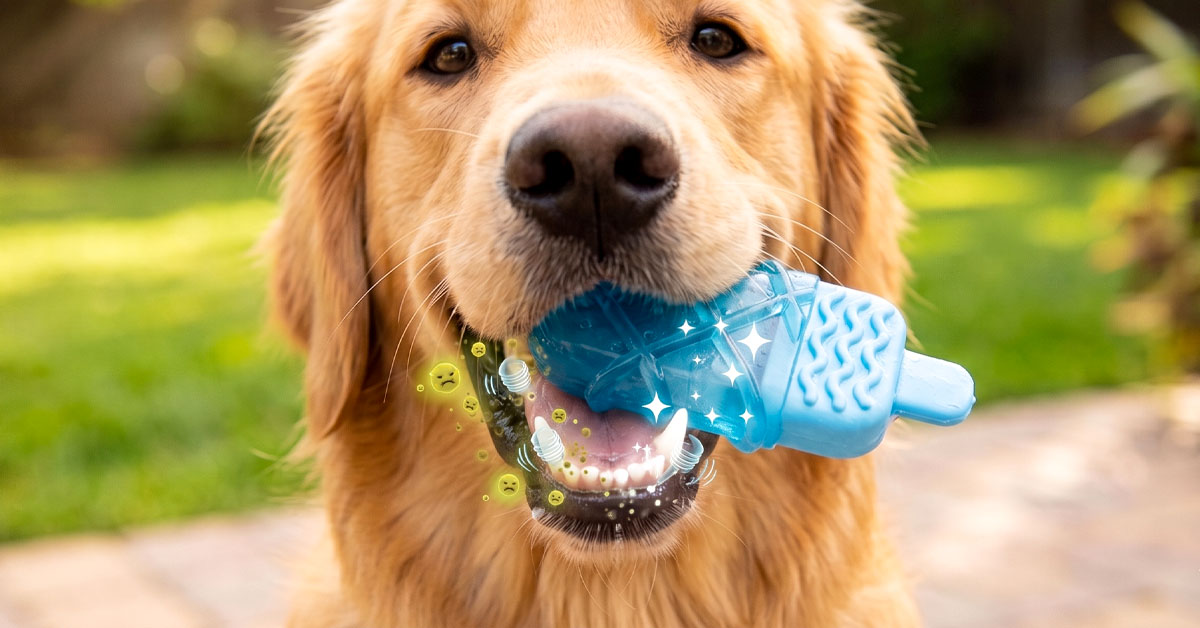 Promotes Healthy Chewing And Cleaner Teeth