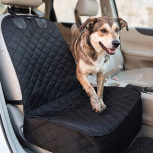 K9 Cruiser