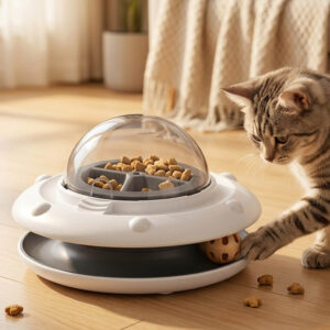 KittySaucer