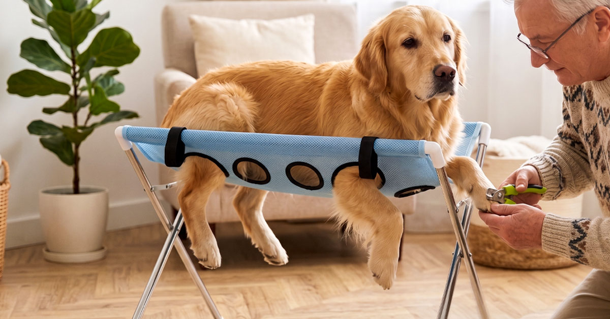 Suspends Limbs Mid-Air — Prevents Escape Attempts